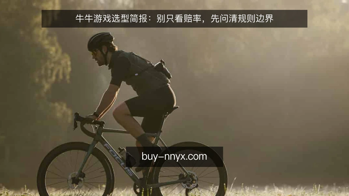 牛牛游戏选型简报：别只看赔率，先问清规则边界