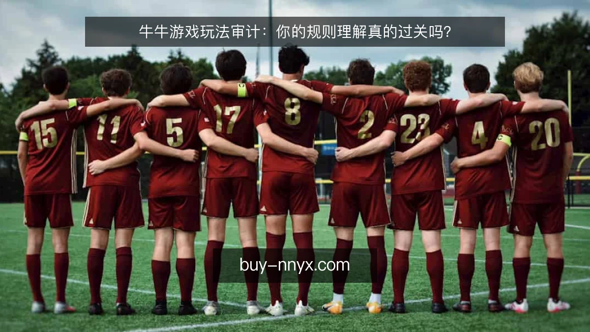 牛牛游戏玩法审计：你的规则理解真的过关吗？